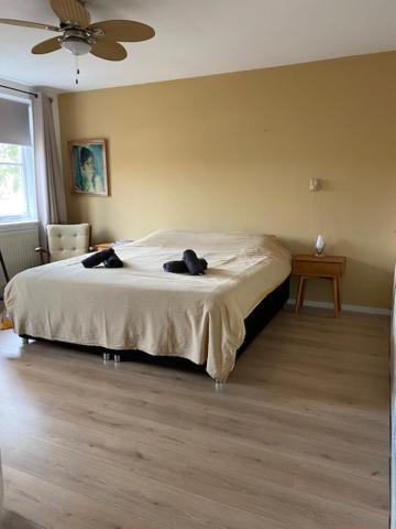 Sunnystay 43 Middelburg Dış mekan fotoğraf